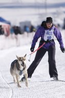 Lenk 2013